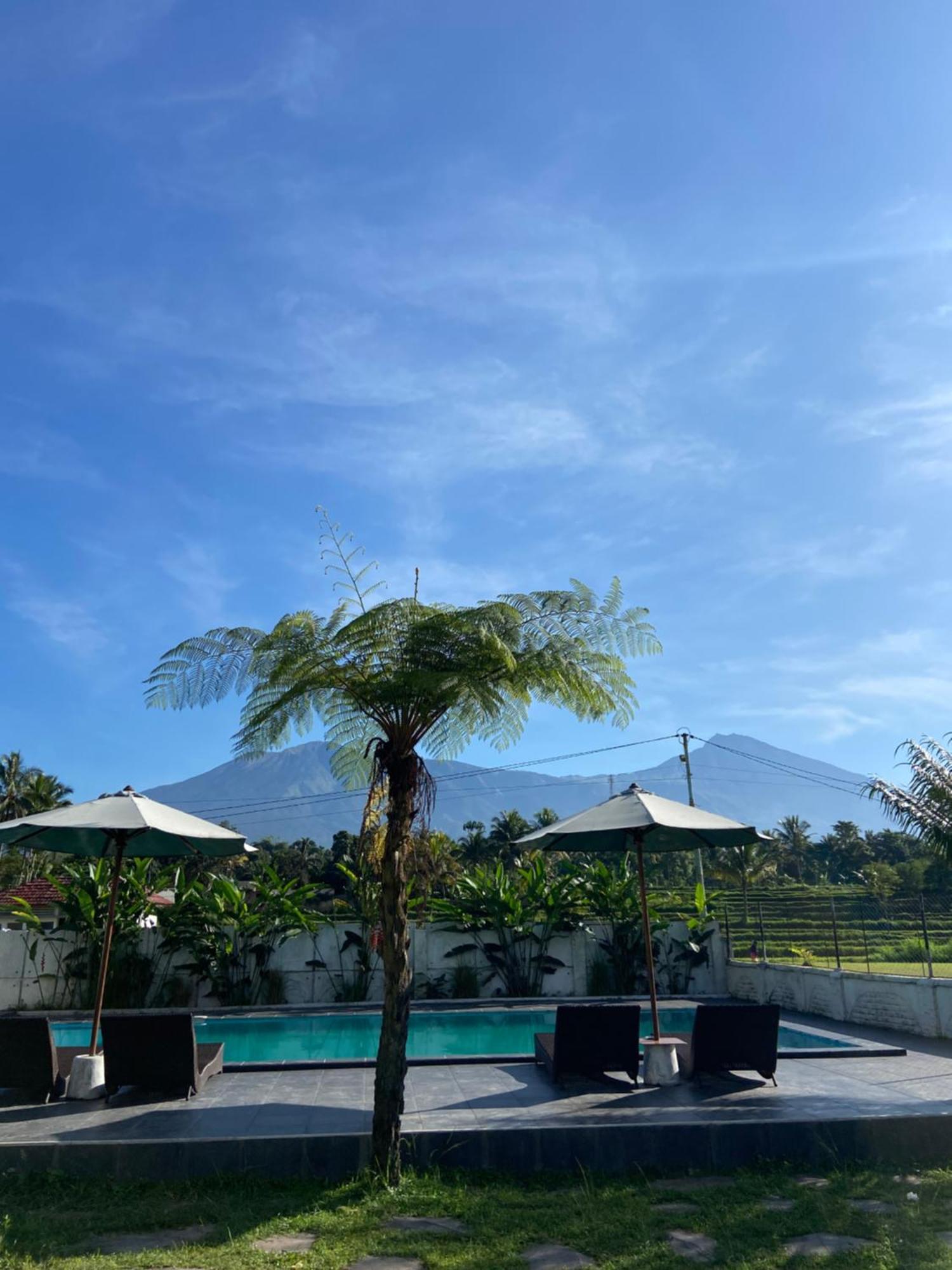 Pondok Tetebatu Cottages And Cafe Luaran gambar