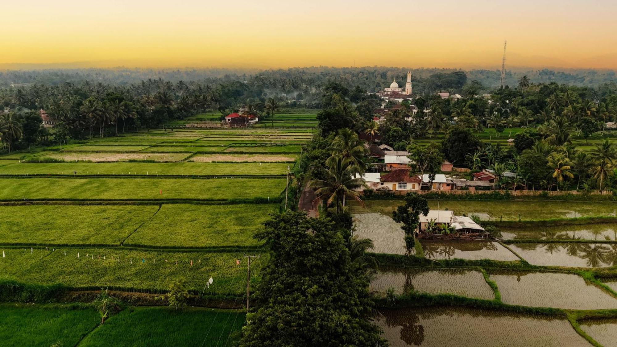 Pondok Tetebatu Cottages And Cafe Luaran gambar