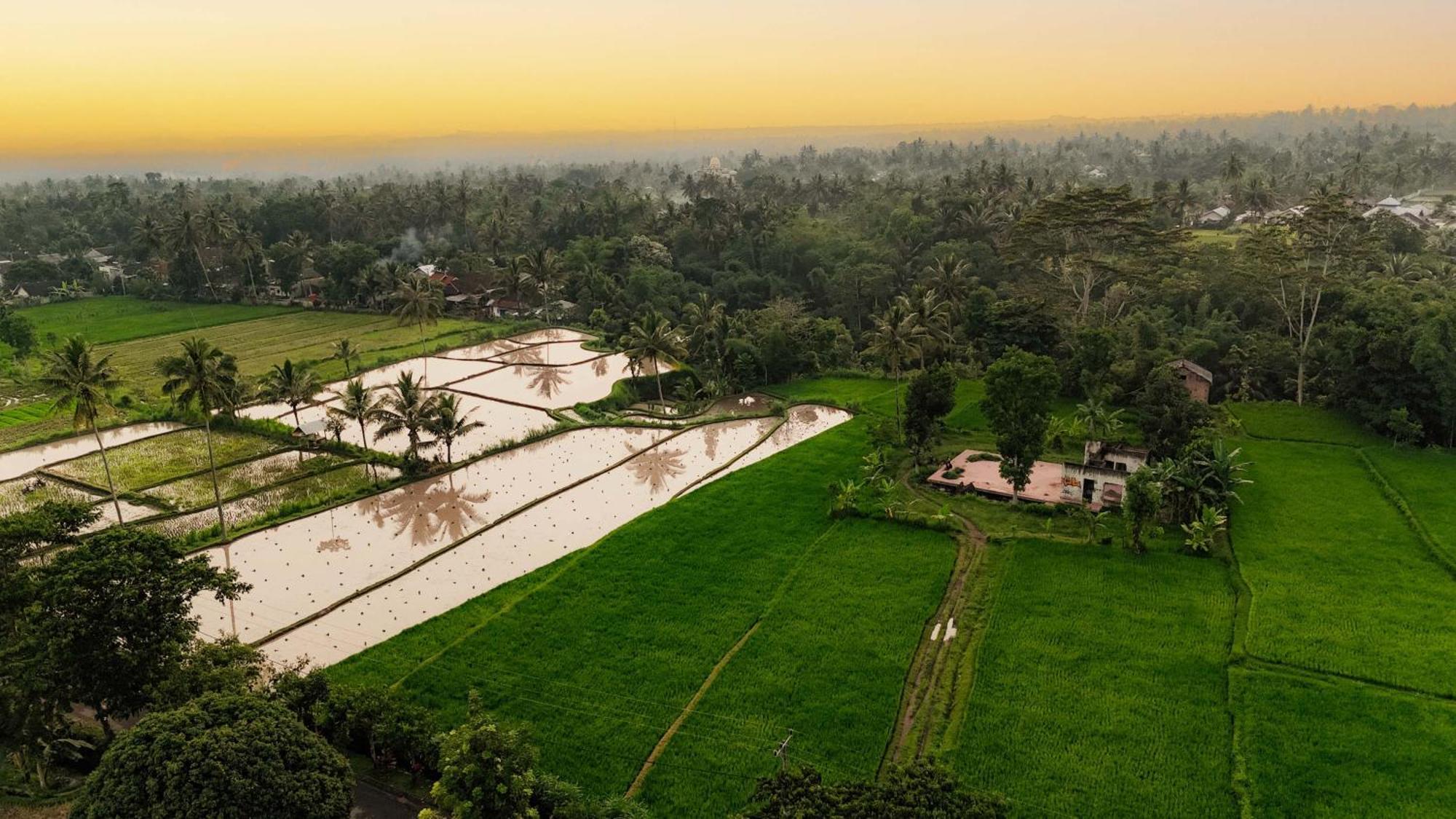 Pondok Tetebatu Cottages And Cafe Luaran gambar